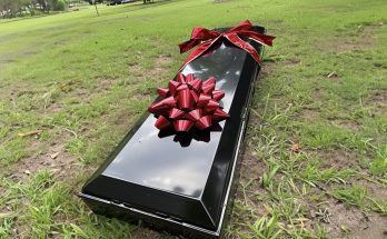 A Coffin with a Gift Bow Was Brought to Our Wedding During the Ceremony — I Nearly Fainted When It Opened