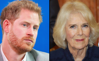 Prince Harry Takes Swipe At Queen Camilla With Brutal Two-Word Nickname